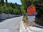JustGreece.com Aan the provinciale weg in Lemonakia near Kokkari- Island of Samos - Foto van JustGreece.com