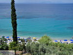 Olive trees  at beach Lemonakia near Kokkari - Island of Samos - Photo JustGreece.com