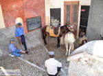JustGreece.com Fira Santorini (Thira) - Photo 69 - Foto van JustGreece.com