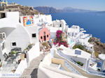 JustGreece.com Oia Santorini (Thira) - Photo 91 - Foto van JustGreece.com