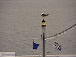 From Keramoti (Near Kavala) to Thassos | Greece | Photo 15 - Photo JustGreece.com