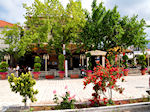 Thassos town - Limenas | Greece | Photo 5 - Photo JustGreece.com