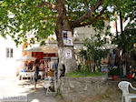 Panagia Thassos | Greece | Photo 3 - Photo JustGreece.com