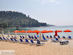 Golden Beach - Skala Panagia - Chrissi Ammoudia | Thassos | Photo 4 - Photo JustGreece.com