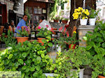 Potamia Thassos | Greece | Photo 8 - Photo JustGreece.com