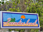 Paradise Beach - Kinira | Thassos | Photo 13 - Photo JustGreece.com