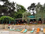 Papalimani Thassos | Greece | Photo 5 - Photo JustGreece.com