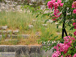 Limenas  - Thassos town |Greece | Photo 10 - Photo JustGreece.com
