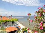 Skala Sotiros | Thassos | Photo 5 - Photo JustGreece.com
