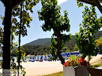 JustGreece.com Makryammos - beach near Limenas (Thassos town) | Photo 4 - Foto van JustGreece.com