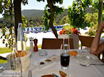 JustGreece.com Makryammos - beach near Limenas (Thassos town) | Photo 5 - Foto van JustGreece.com