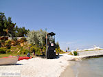 JustGreece.com Makryammos - beach near Limenas (Thassos town) | Photo 15 - Foto van JustGreece.com