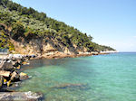 JustGreece.com Makryammos - beach near Limenas (Thassos town) | Photo 16 - Foto van JustGreece.com