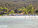 JustGreece.com Makryammos - beach near Limenas (Thassos town) | Photo 18 - Foto van JustGreece.com