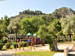 JustGreece.com Makryammos - beach near Limenas (Thassos town) | Photo 25 - Foto van JustGreece.com