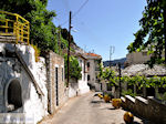 JustGreece.com Panagia | Thassos | Photo 11 - Foto van JustGreece.com