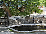 JustGreece.com Panagia | Thassos | Photo 27 - Foto van JustGreece.com