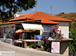 JustGreece.com Volimes | Zakynthos | Greece | Photo 4 - Foto van JustGreece.com