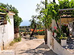 JustGreece.com Maries Zakynthos | Greece | Greece  nr3 - Foto van JustGreece.com