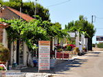 JustGreece.com Maries Zakynthos | Greece | Greece  nr4 - Foto van JustGreece.com