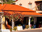 Agios Leon Zakynthos | Greece | Greece  nr2 - Photo JustGreece.com