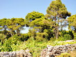 Agios Leon Zakynthos | Greece | Greece  nr6 - Photo JustGreece.com
