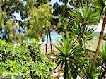 JustGreece.com Zakynthos town | Greece | Greece  nr 53 - Foto van JustGreece.com