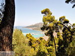 Zakynthos town | Greece | Greece  nr 56 - Photo JustGreece.com