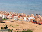 JustGreece.com Banana beach Vassilikos | Zakynthos | Greece  nr 6 - Foto van JustGreece.com