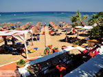 St Nicolas Bay Vassilikos | Zakynthos | Greece  nr 26 - Photo JustGreece.com