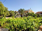 Alykanas Zakynthos | Greece | Greece  Photo 3 - Photo JustGreece.com