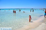 Elafonisi (Elafonissi) Crete - Greece - Photo 1 - Photo JustGreece.com
