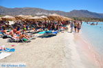 Elafonisi (Elafonissi) Crete - Greece - Photo 10 - Photo JustGreece.com