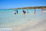 Elafonisi (Elafonissi) Crete - Greece - Photo 11 - Photo JustGreece.com