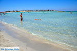 Elafonisi (Elafonissi) Crete - Greece - Photo 14 - Photo JustGreece.com