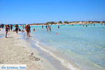 Elafonisi (Elafonissi) Crete - Greece - Photo 16 - Photo JustGreece.com