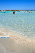 JustGreece.com Elafonisi (Elafonissi) Crete - Greece - Photo 21 - Foto van JustGreece.com