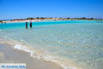 JustGreece.com Elafonisi (Elafonissi) Crete - Greece - Photo 26 - Foto van JustGreece.com