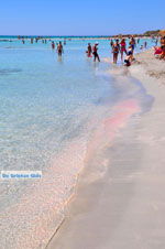 JustGreece.com Elafonisi (Elafonissi) Crete - Greece - Photo 35 - Foto van JustGreece.com