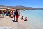 JustGreece.com Elafonisi (Elafonissi) Crete - Greece - Photo 37 - Foto van JustGreece.com