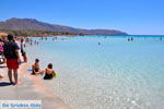 JustGreece.com Elafonisi (Elafonissi) Crete - Greece - Photo 38 - Foto van JustGreece.com