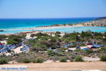 JustGreece.com Elafonisi (Elafonissi) Crete - Greece - Photo 46 - Foto van JustGreece.com