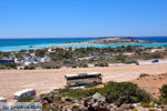 Elafonisi (Elafonissi) Crete - Greece - Photo 63 - Photo JustGreece.com