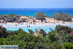 JustGreece.com Elafonisi (Elafonissi) Crete - Greece - Photo 88 - Foto van JustGreece.com