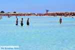 Elafonisi (Elafonissi) Crete - Greece - Photo 90 - Photo JustGreece.com