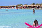 Elafonisi (Elafonissi) Crete - Greece - Photo 91 - Photo JustGreece.com