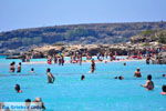 Elafonisi (Elafonissi) Crete - Greece - Photo 99 - Photo JustGreece.com