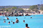 JustGreece.com Elafonisi (Elafonissi) Crete - Greece - Photo 100 - Foto van JustGreece.com