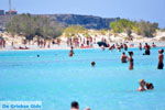 JustGreece.com Elafonisi (Elafonissi) Crete - Greece - Photo 101 - Foto van JustGreece.com