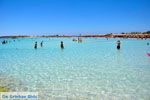 JustGreece.com Elafonisi (Elafonissi) Crete - Greece - Photo 106 - Foto van JustGreece.com